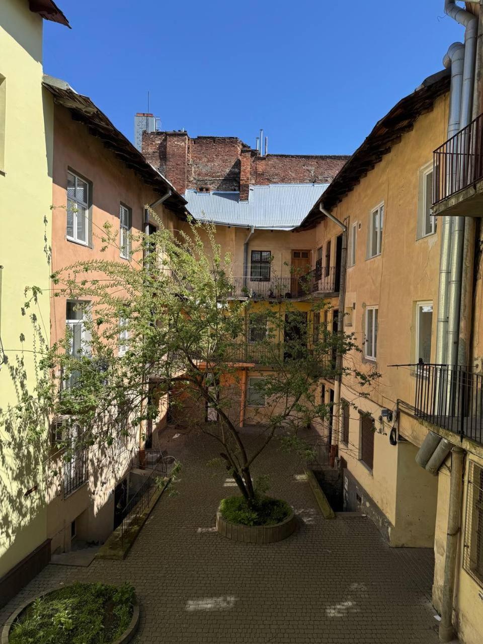 Elite Apart Near Svoboda Avenue 利沃夫 外观 照片
